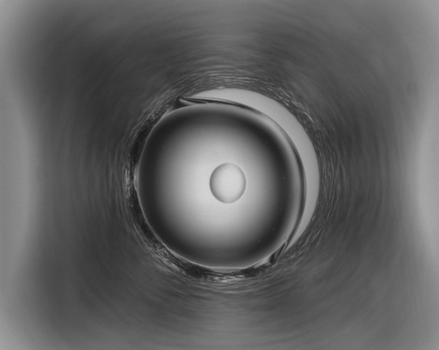 X0000116890716200912221453
