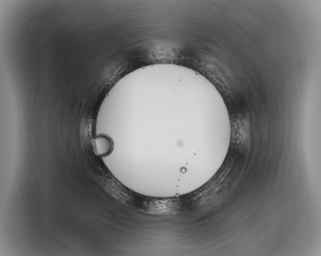X0000116890717200912221453