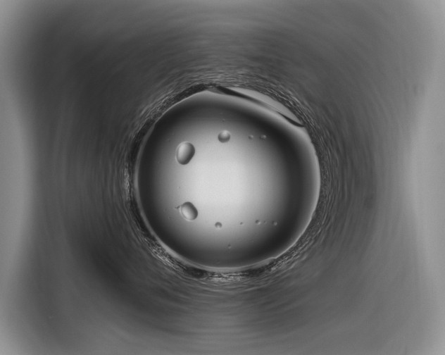 X0000116890720200912221453