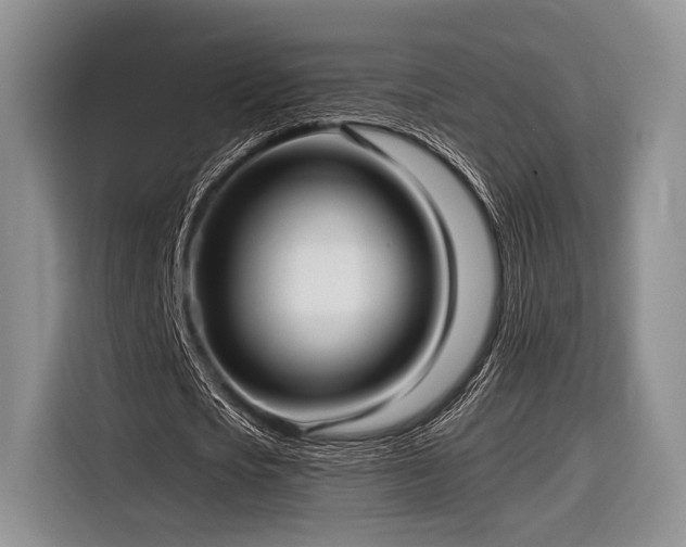 X0000116890721200912221453