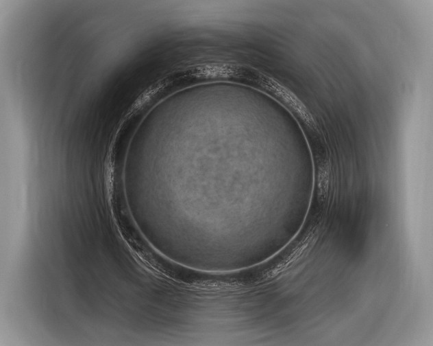 X0000116890722200912221453