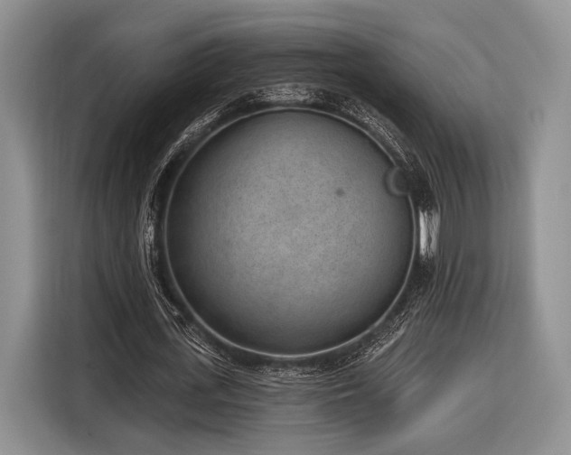 X0000116890723200912221453