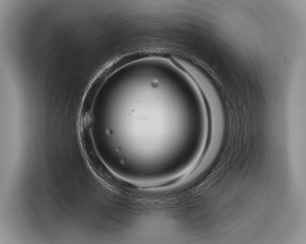 X0000116890726200912221453