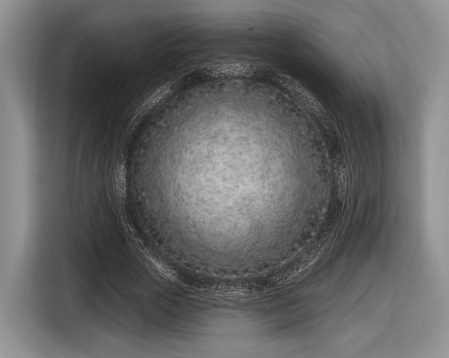 X0000116890729200912221453
