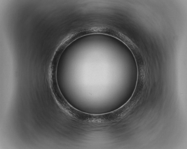 X0000116890730200912221453