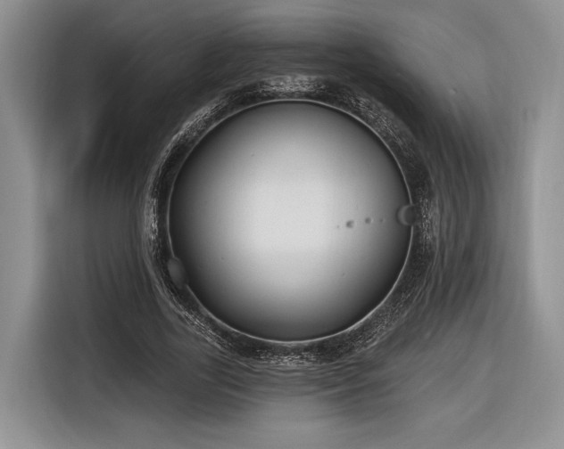X0000116890731200912221453