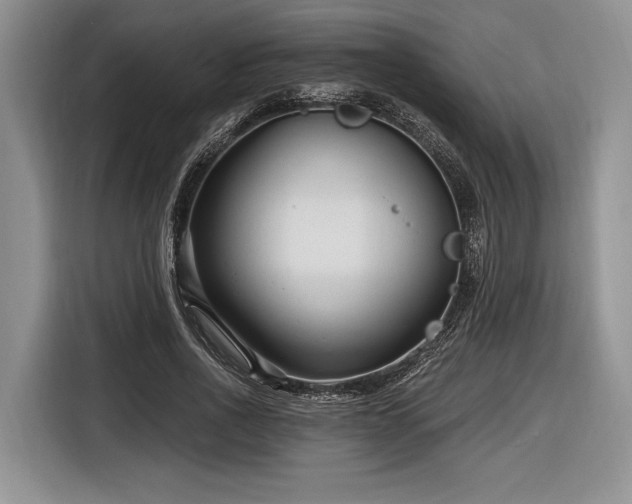 X0000116890734200912221453