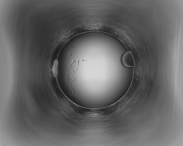 X0000116890743200912221453