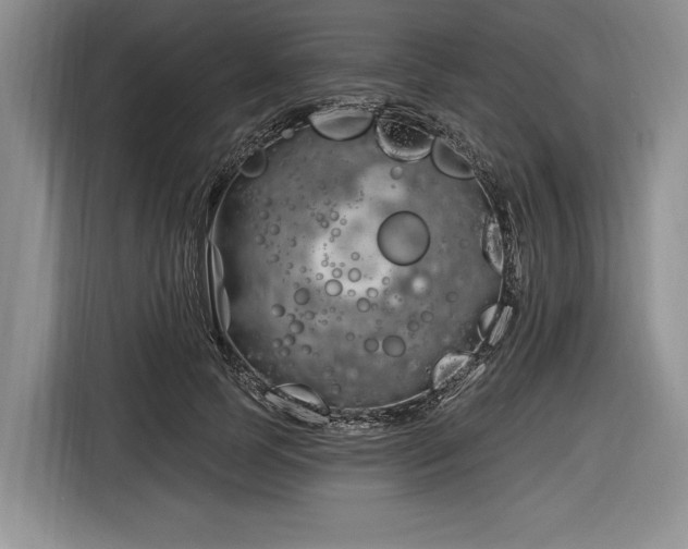 X0000116890745200912221453