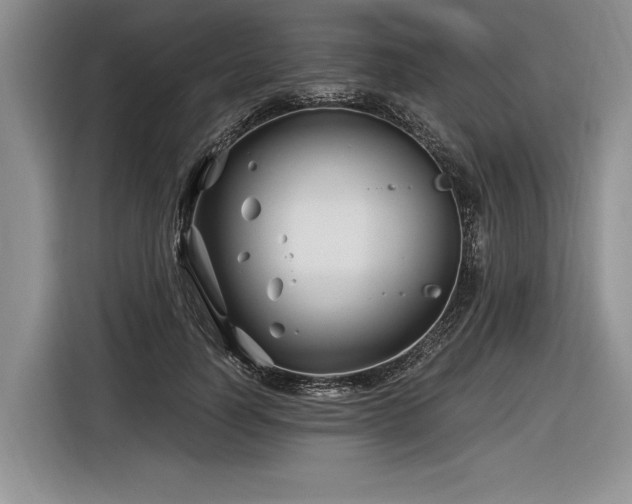 X0000116890746200912221453
