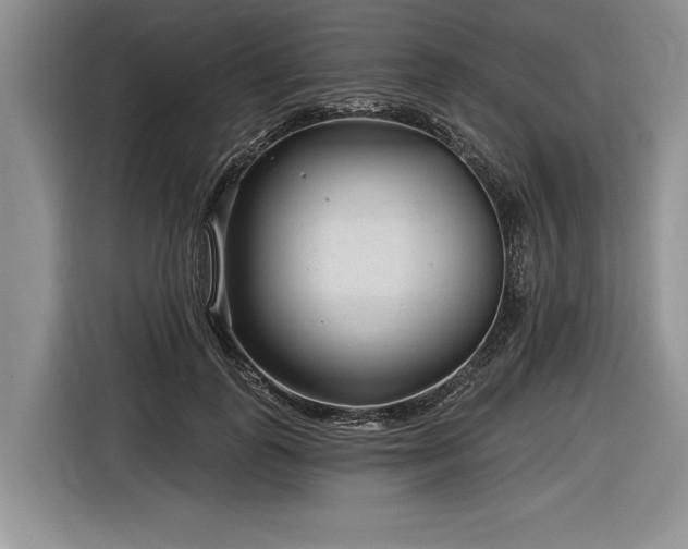 X0000116890747200912221453