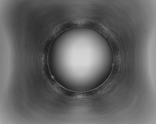 X0000116890750200912221453