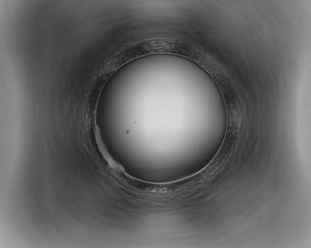 X0000116890751200912221453