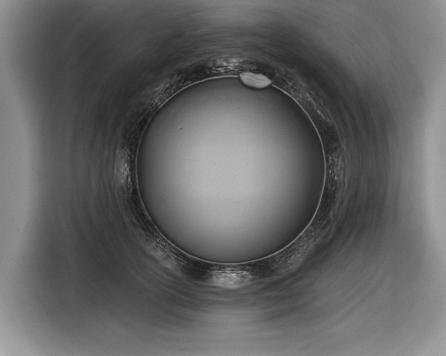 X0000116890754200912221453