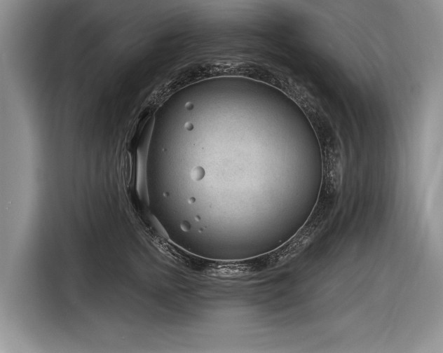 X0000116890758200912221453