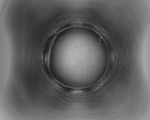 X0000116890759200912221453