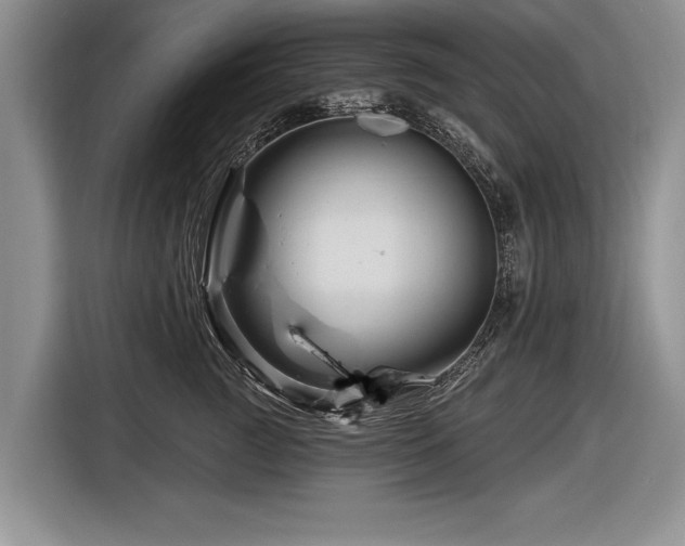 X0000116890761200912221453