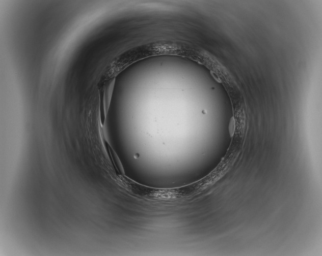 X0000116890762200912221453