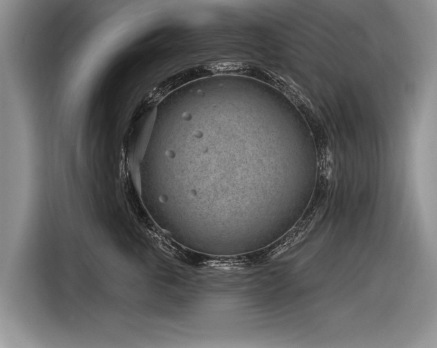 X0000116890763200912221453