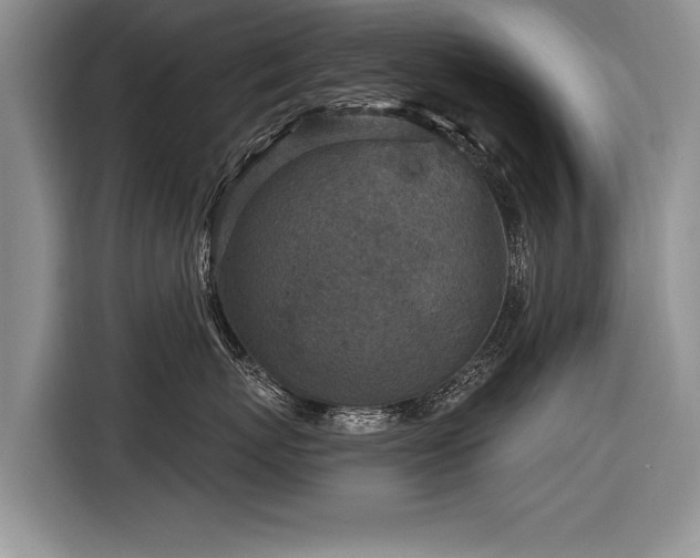 X0000116890767200912221453