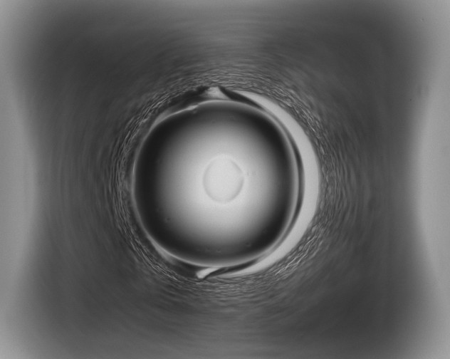 X0000116890769200912221453