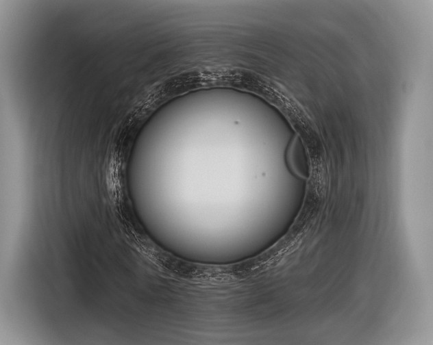X0000116890770200912221453