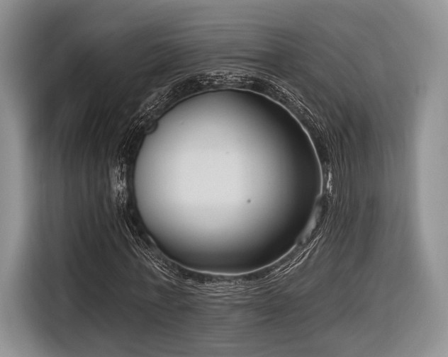 X0000116890771200912221453