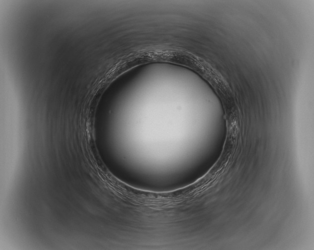 X0000116890772200912221453