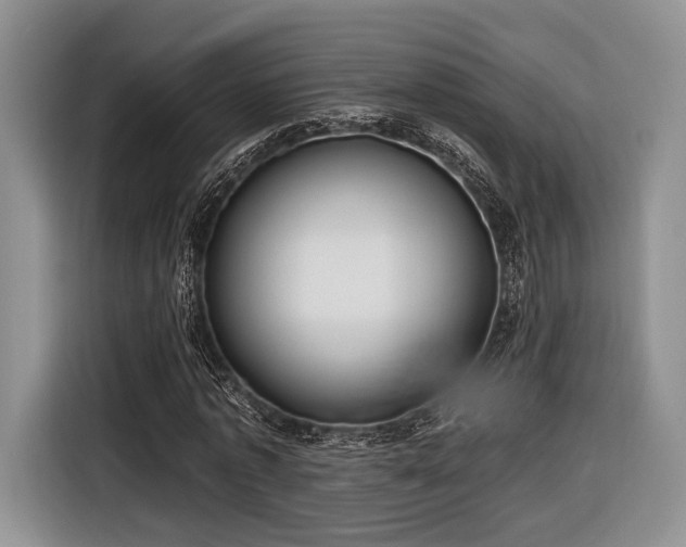 X0000116890773200912221453