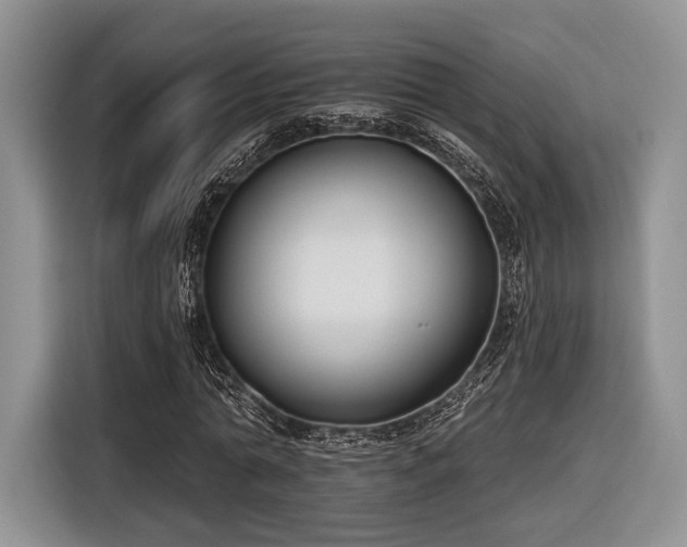X0000116890774200912221452