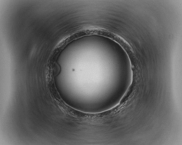 X0000116890775200912221452