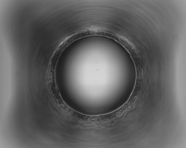 X0000116890776200912221452