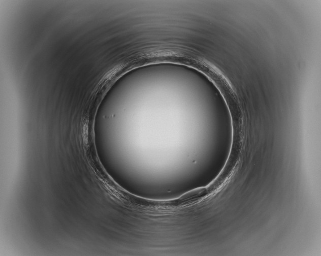 X0000116890777200912221452