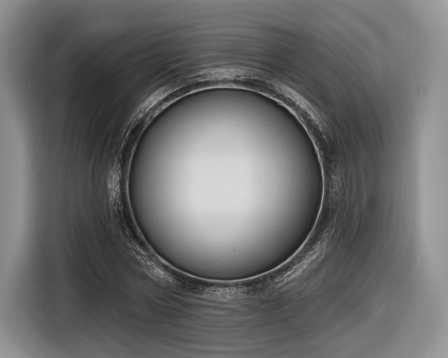 X0000116890778200912221452
