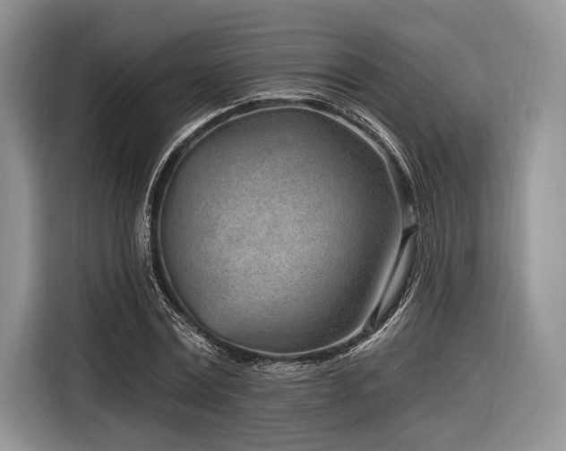 X0000116890779200912221452