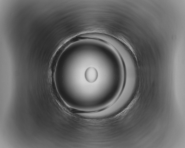 X0000116890781200912221452