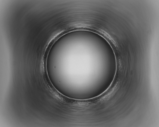X0000116890782200912221452