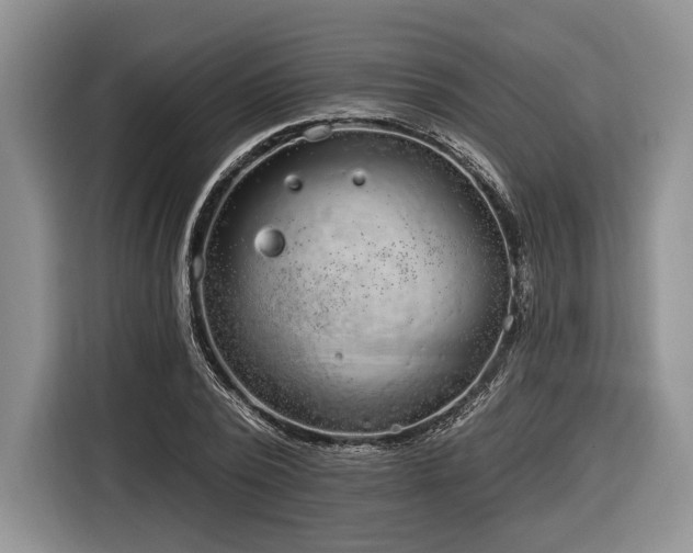 X0000116890784200912221452