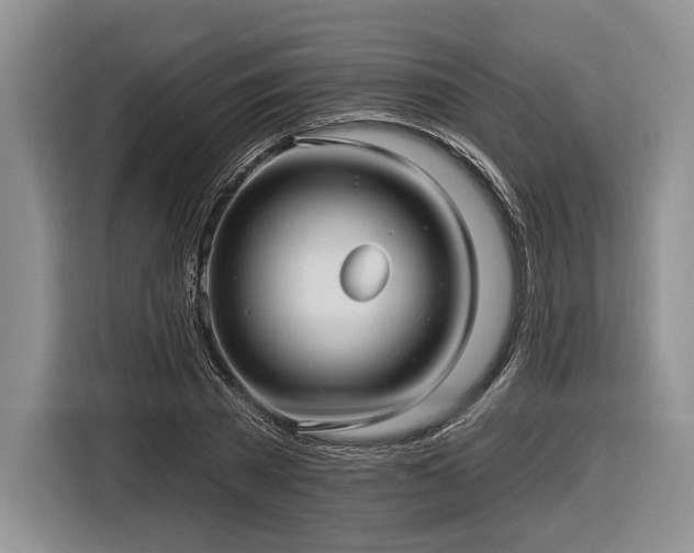 X0000116890785200912221452