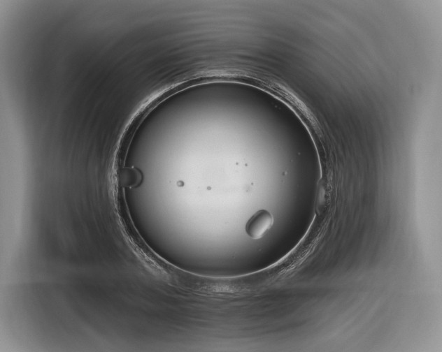 X0000116890787200912221452