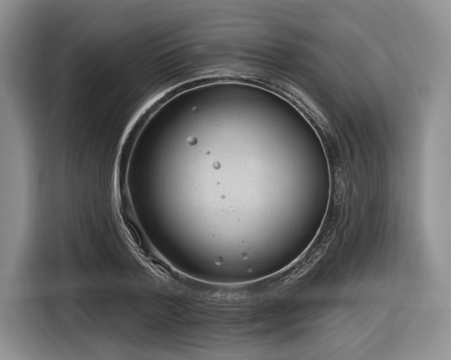 X0000116890788200912221452
