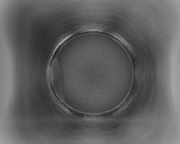 X0000116890790200912221452