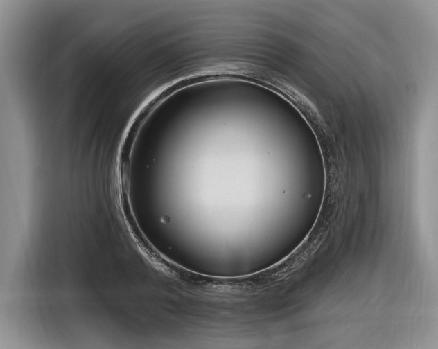 X0000116890792200912221452