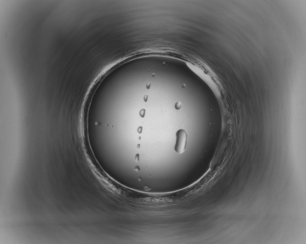 X0000116890795200912221452