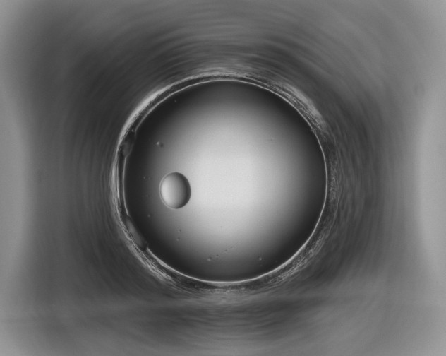 X0000116890796200912221452
