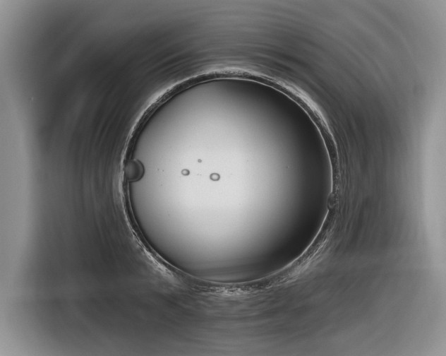 X0000116890799200912221452