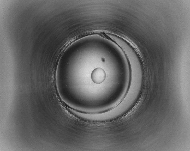 X0000116890801200912221452