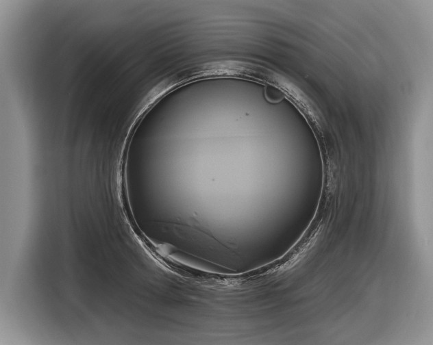 X0000116890802200912221452