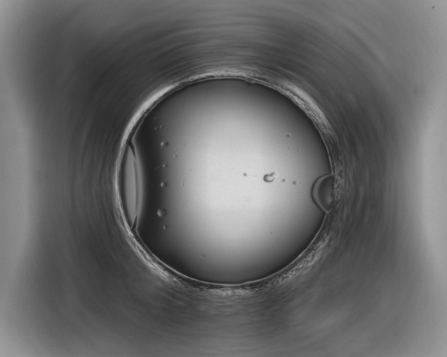 X0000116890804200912221452