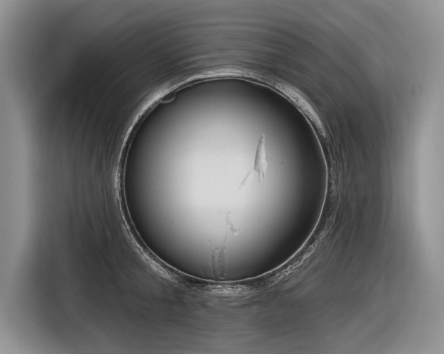 X0000116890805200912221452